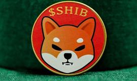 数据显示，顶级以太坊$ETH鲸鱼库存超过 56 万亿只柴犬（$SHIB）_SHIBA:DANDY币
