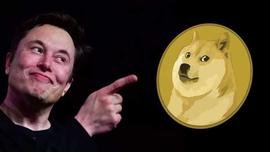 在马斯克的新帖子之后，狗狗币成为鲸鱼交易量最大的加密货币_DOG:BNB