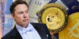 多次助攻狗狗币暴涨！马斯克却警告别全进DOGE，他为何这么说？_马斯克:加密货币