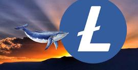 减半倒计时：莱特币鲸鱼的重要举动！_LTC:BTC