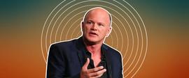 Mike Novogratz 在最新的 Twitter 争吵中嘲笑沃伦的反加密立场_SILV:莱特币减产时间表