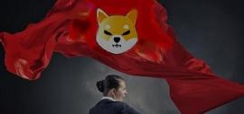 给柴犬的激动人心的提醒！什么来了？_SHIBA:ETA