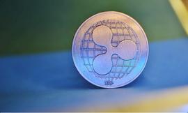XRP 鲸鱼和鲨鱼地址持有量在快速增持后创下历史新高_PPL:xrp币发行量多少