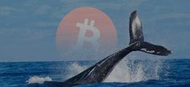 大鲸鱼抛售比特币、ETH、UNI进本币！_EPE:pepe币哪个国家的