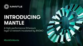 Mantle会是下一个最受欢迎的协议吗？_BIT:PANTHER价格