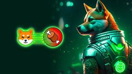 柴犬终于宣布了期待已久的日期！如何把握？_SHIB:Shiba Metaverse