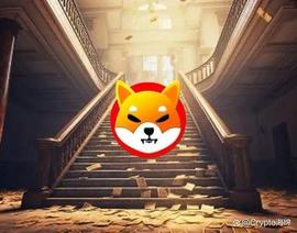 Shiba Inu Trader 将 17 美元变成 1500 万美元_加密货币:SHINE币