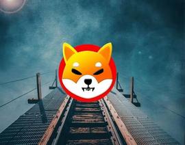 在最近的购买量飙升之后，柴犬(SHIB)是否看跌？_SHIB:BLOCK