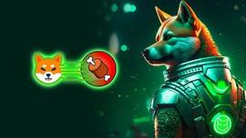 Shiba Inu (SHIB)：Shibarium 看到钱包地址达到 1100 万_SHI:BAR