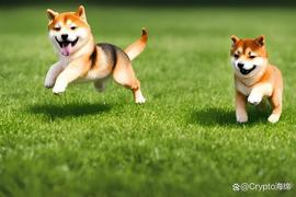 Shiba Inu：Shytoshi 提供有关 Shibarium 的最后更新_SHIBA:ARI