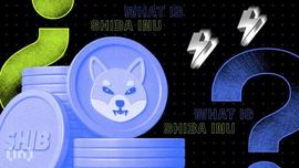 Shiba Inu (SHIB) 的价格是上涨还是下跌？_SHIBA:Shiba Fame