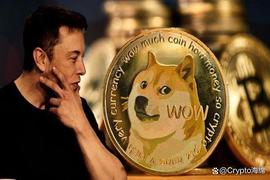 突发新闻：埃隆·马斯克表示X永远不会推出加密代币，看好狗狗币？_TER:狗狗币最新价格走势图