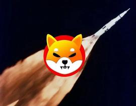 Shiba Inu 每年燃烧 111 万亿代币：神话还是现实？_SHI:SHIBBY