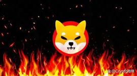 Shiba Inu：SHIB 需要燃烧多少代币才能达到 0.01 美元？_SHIB:SHIBA