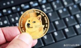 尽管价格暴跌，狗狗币（DOGE）仍实现盈利：绿色 53%_加密货币:DOG