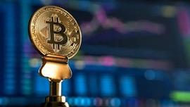 比特币（BTC）：2023 年第二季度有何期待？_XRP:LAZYSHIBA