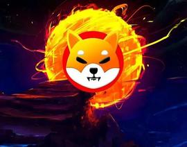 Shiba Inu 在销毁率下降的情况下被评为“每日代币”_SHIB:Not Another Shit Altcoin