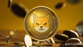 柴犬 (SHIB) 鲸鱼交易量在 24 小时内跃升 197%_INT:ClinTex CTi