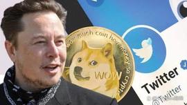 埃隆·马斯克 (Elon Musk) 发推后，狗狗币 (DOGE) 飙升 4%_狗狗币:马斯克