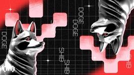 柴犬 (SHIB) 价格的 5 月预测：持有还是卖出？_Arbitrum:Arbitrum