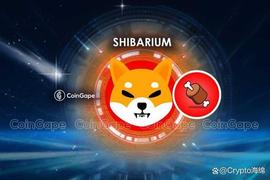 Shiba Inu 首席开发人员发布了最终的 Shibarium 扩展更新_SHI:BABYSHIBAINU币