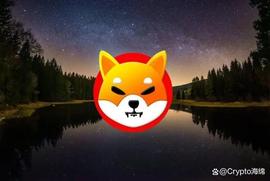 Shiba Inu：10% 的看涨波动之后SHIB可能会出现价格调整_AIN:SHI
