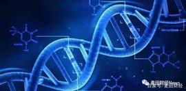 谷歌实现量子霸权之后，量子计算vs区块链，比特币神话即将终结？_加密货币:AMOR币