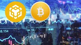 另一个熊市 - BNB的又一次胜利！_BLOCK:ekkoblock