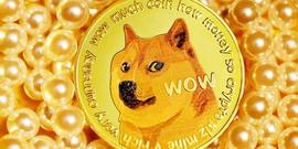 狗狗币价格预测：惊人的上涨趋势或将席卷市场！_狗狗币:shibdoge币有价值吗