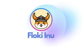 FLOKI：下一个SHIBA？_FLOKI:区块链