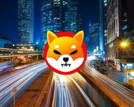 Shiba Inu：这是 SHIB 的 Metaverse 启动时间_元宇宙:MAMYSHIBA价格