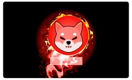 一天烧掉 4100 万只柴犬_SHI:BAS