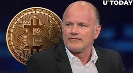 「崛起社区」Mike Novogratz 预计到 2023 年底比特币交易量将走高_比特币:加密货币市场分析
