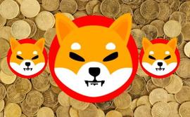 美国政客称赞柴犬 (SHIB)，称“谢天谢地，我们不是 PEPE”_SHI:RAY