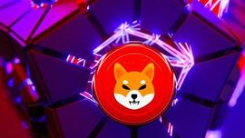 「崛起社区」对柴犬的需求增加：价格会产生积极影响吗？_LOR:CTO