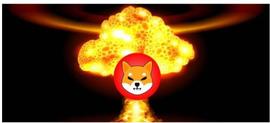 Shiba Inu Coin 投资者遭受 80% 的地址陷入损失_SHIBA:加密货币