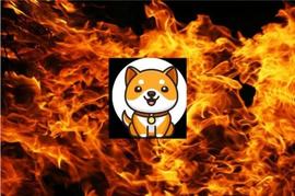 BabyDoge 团队准备销毁 100 千万亿代币：详情_BABYDOGE:BABYCRAZYTIGER价格