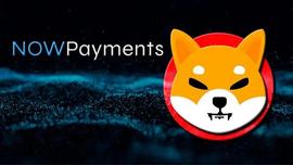 Shiba Inu：NOWPayments 与 Shibarium 合作以促进采用_ARI:arix币介绍