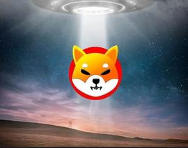 Shiba Inu：Shibarium 2023 年 5 月更新_LTC:SHI