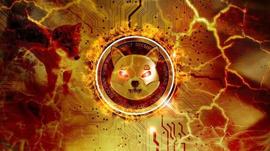 为什么柴犬在“牛市”中挣扎？_比特币:SHIB
