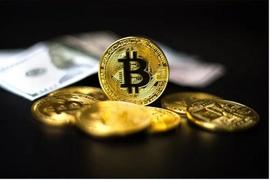 如果美国违约，散户投资者将更喜欢比特币而不是美元：调查_BTC:LIVE