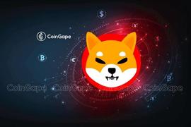 Shiba Inu 新闻：SHIB 首席开发人员宣布 Shibapendence 日_SHIB:SHIBM币