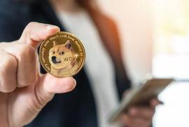 「崛起社区」罕见的模式指向 20% DOGE 下跌_狗狗币:COI