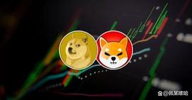 Shiba Inu 和 狗狗币Dogecoin 将引领下一轮牛市_HER:CherrySwap