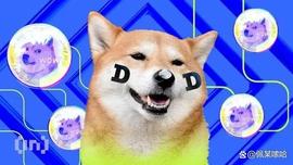 狗狗币价格，因为 DOGE 在一周内飙升 29%——1 美元进账？_加密货币:加密货币行情追踪工具