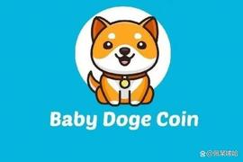 BabyDoge 是否必须依赖比特币（BTC）、以太坊（ETH）来恢复？_DOG:BAB
