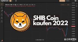 Shiba Inu分析：柴犬(SHIB)我们是买还是不买？_ETH:XETH价格