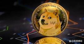 马斯克 与 V神 合作进行狗狗币升级，DOGE 价格飙升！_BTC:加密货币