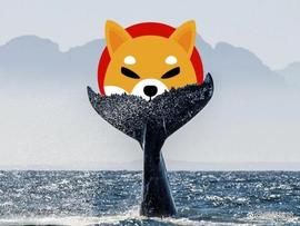 Shiba Inu (SHIB)：一头以太坊 (ETH) 鲸鱼醒来并加油_SHIB:Shib Original Vision