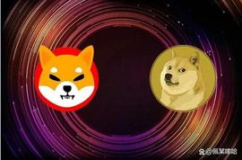 SHIB 和狗狗币（DOGE）价格展望_SHIB:doge币前景如何